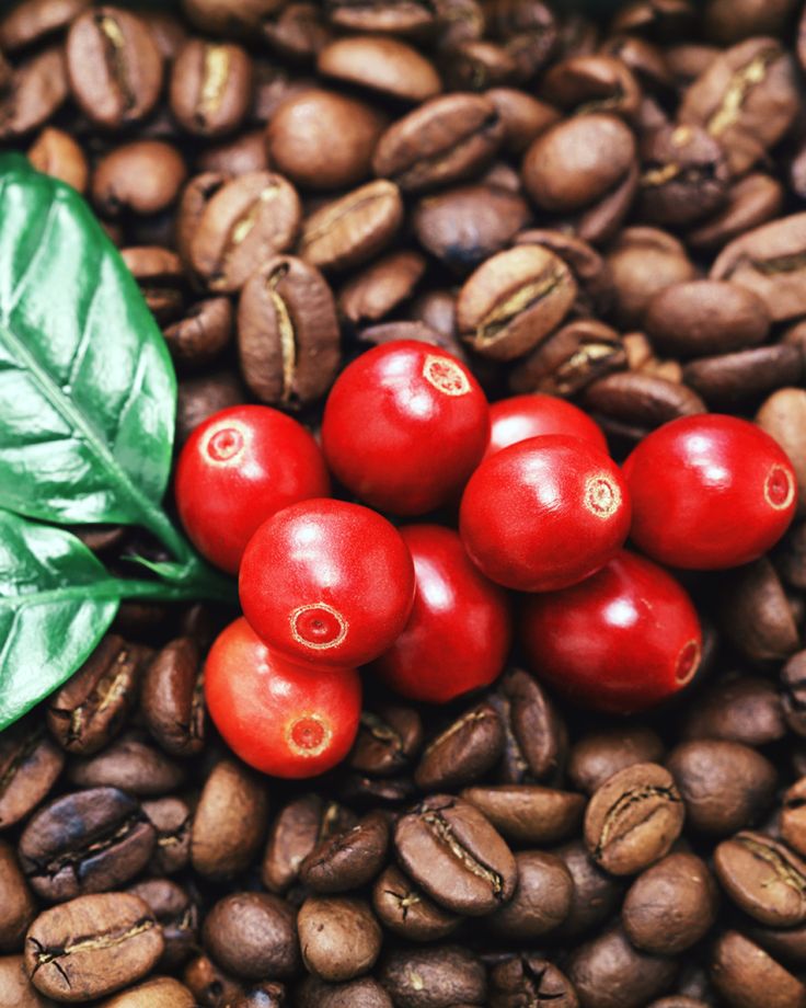 CafeartisannycEthipe